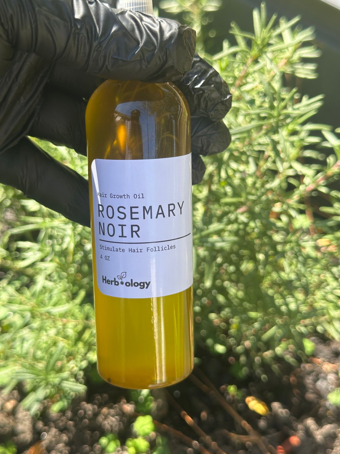 Rosemary Noir Oil